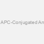 Human RBBP9 AssayLite APC-Conjugated Antibody Flow Cytometry Kit